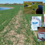 Valstybinė augalininkystės tarnyba operatyviai reaguoja į viešojoje erdvėje pasirodžiusią informaciją