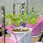 Why Yield Stability and Resilience Are Becoming as Important as