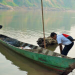 Could El Niño trigger aquaculture's shift to algal oil?
