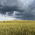 Atšaukta valstybės lygio ekstremalioji situacija