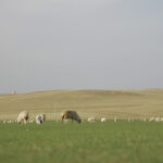 New investment hub launched at UN COP17 to close $278