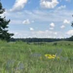 Ūkininkams – papildomi palengvinimai dėl terminų ir reikalavimų