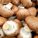 Grybų augintojų dėmesiui: duomenis apie auginimo plotus būtina pateikti iki